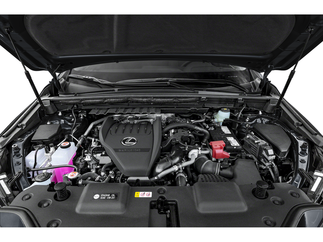 2024 Lexus NX 350 350 Base