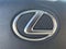 2021 Lexus ES 300h 300h