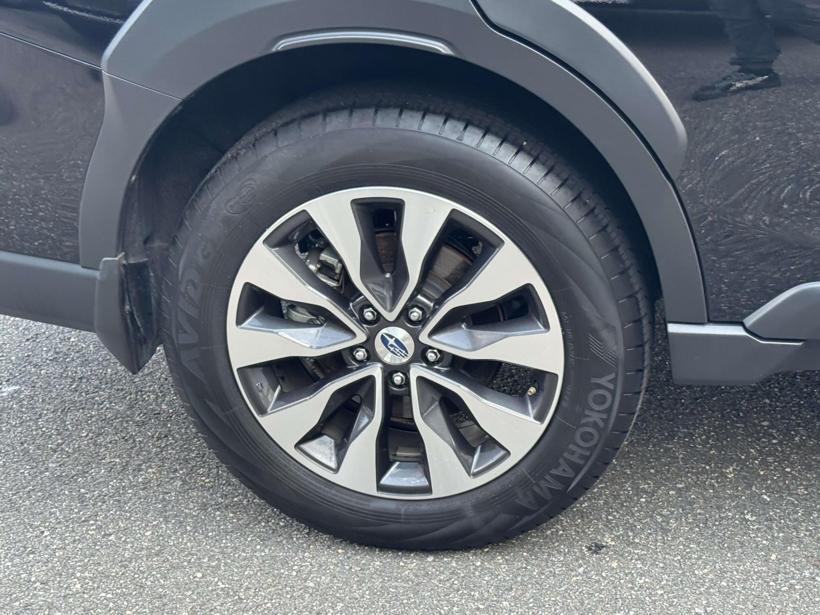 2025 Subaru Outback Limited XT