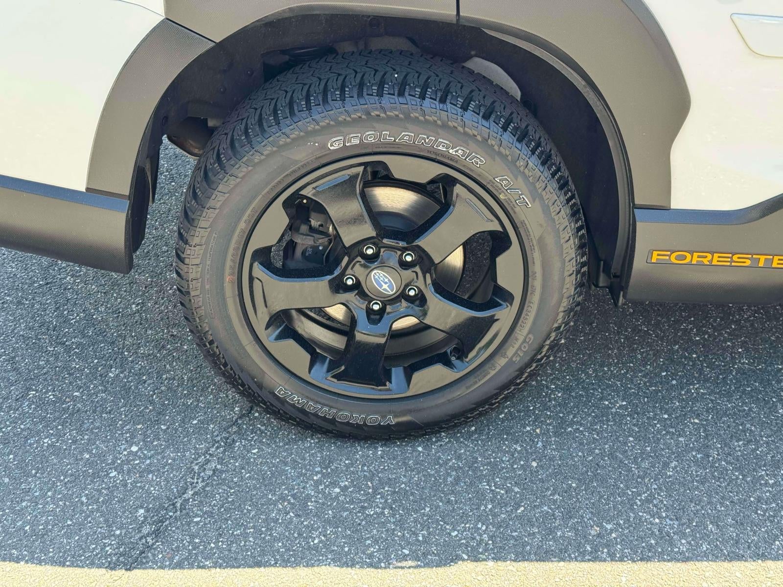 2023 Subaru Forester Wilderness