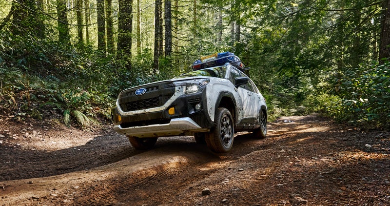 A static image of a white 2026 Subaru Forester Wilderness driving on a dirt and rock trail in a dense forest.
