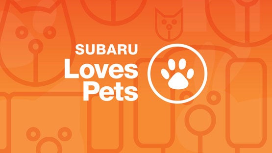 Empire Subaru of Huntington in Huntington NY