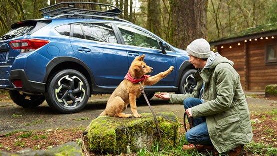Empire Subaru of Huntington in Huntington NY